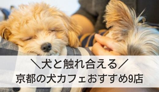 京都の犬カフェおすすめ9選！犬と触れ合えるカフェや同伴OK店まで！